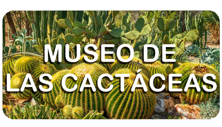 Museo de las Cactáceas