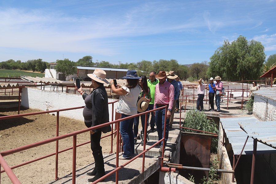Cortijo Taurino - Vista 4
