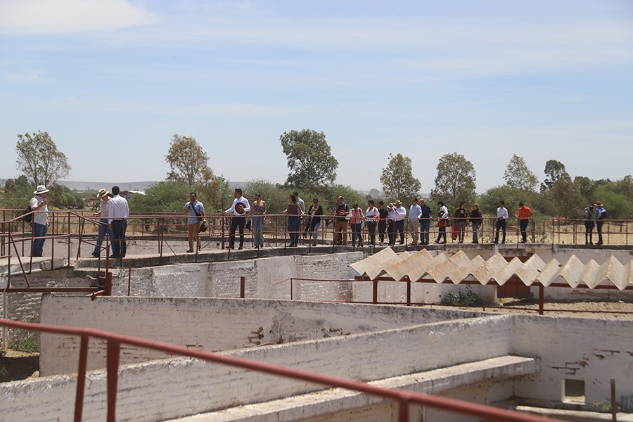 Cortijo Taurino - Vista 5