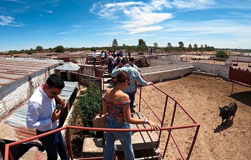 Cortijo Taurino - Vista 6