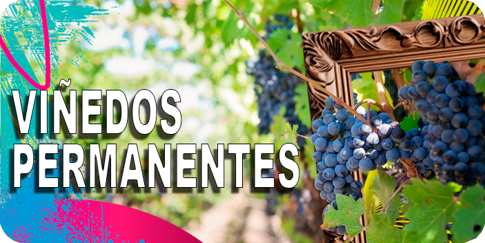 Viñedos Permanentes