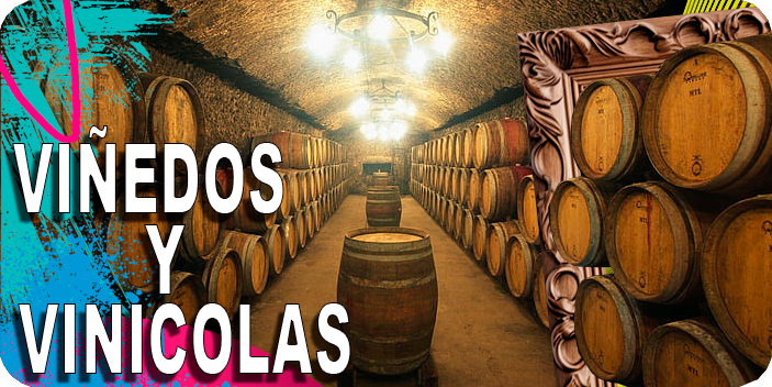 Viñedos y Vinicolas
